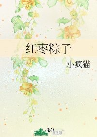 《红枣粽子》