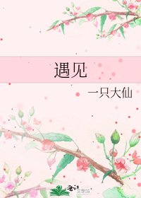 《遇见》