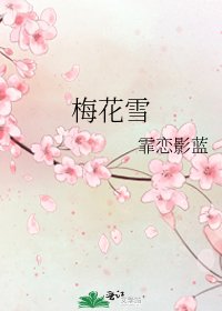 《梅花雪》