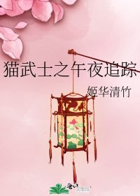 《猫武士之午夜追踪》