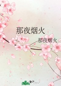 《那夜烟火》