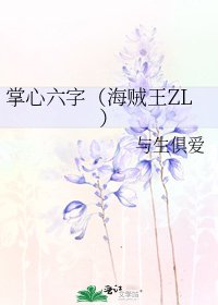 《掌心六字(海贼王ZL)》