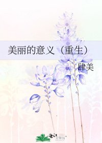 《美丽的意义(重生)》