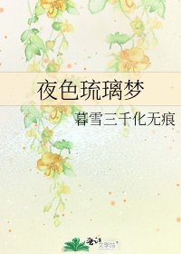 《夜色琉璃梦》