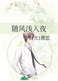 《随风浅入夜》