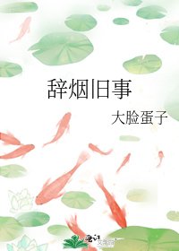 《辞烟旧事》