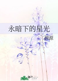 《永暗下的星光》