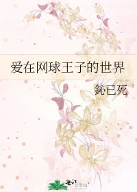 《爱在网球王子的世界》