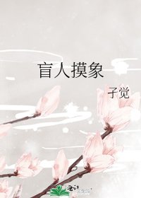 《盲人摸象》