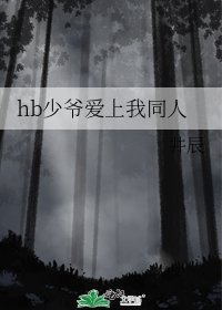 《hb少爷爱上我同人》