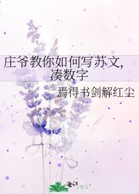 《庄爷教你如何写苏文,凑数字》