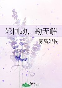 轮回劫，勘无解