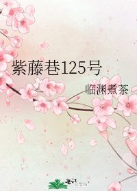 《紫藤巷125号》
