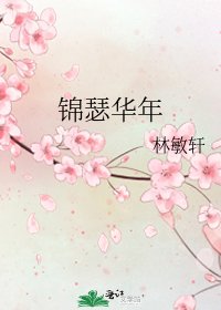 《锦瑟华年》