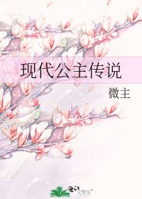 《现代公主传说》