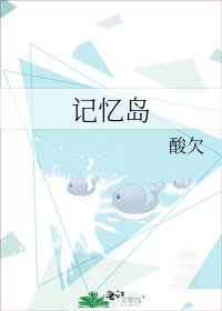 《记忆岛》