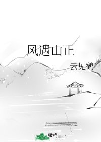 《风遇山止》
