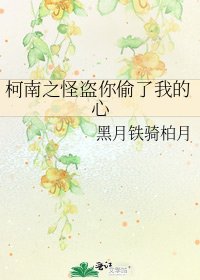 《柯南之怪盗你偷了我的心》