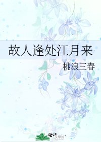 《故人逢处江月来》