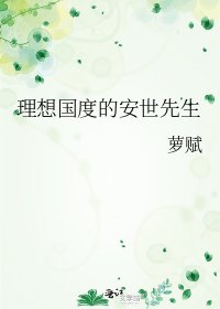 理想国度的安世先生
