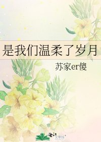 《是我们温柔了岁月》