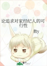 《论追求对家经纪人的可行性》
