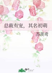 《总裁有宠,其名初萌》