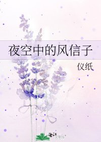 《夜空中的风信子》