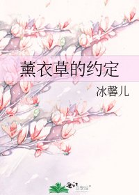 《薰衣草的约定》