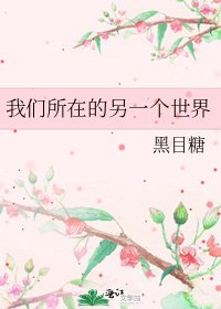 《我们所在的另一个世界》