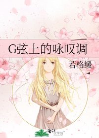 《G弦上的咏叹调》