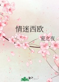 《情迷西欧》