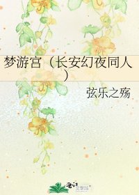 《梦游宫(长安幻夜同人)》