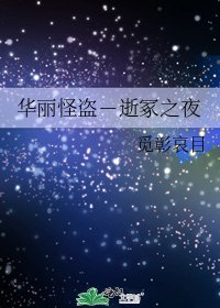 《华丽怪盗-逝冢之夜》