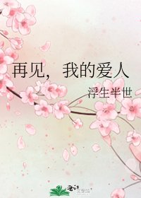 《再见,我的爱人》