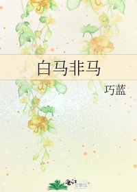 《白马非马》