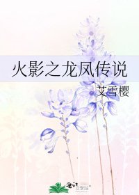 《火影之龙凤传说》