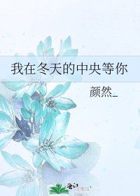 《我在冬天的中央等你》