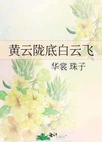 《黄云陇底白云飞》