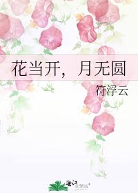 《花当开,月无圆》