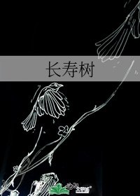 长寿树