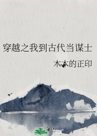 《穿越之我到古代当谋士》