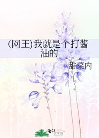 《(网王)我就是个打酱油的》