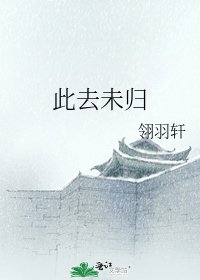 《此去未归》