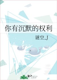 《你有沉默的权利》