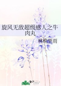 《旋风无敌超级感人之牛肉丸》