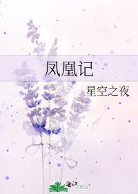 《凤凰记》