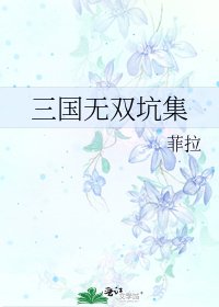 《三国无双坑集》