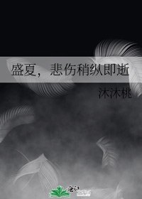 《盛夏,悲伤稍纵即逝》
