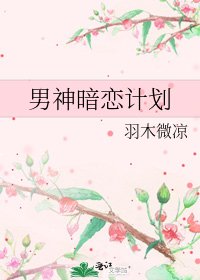 《男神暗恋计划》